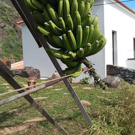 Ladeira Dos Zimbreiros *